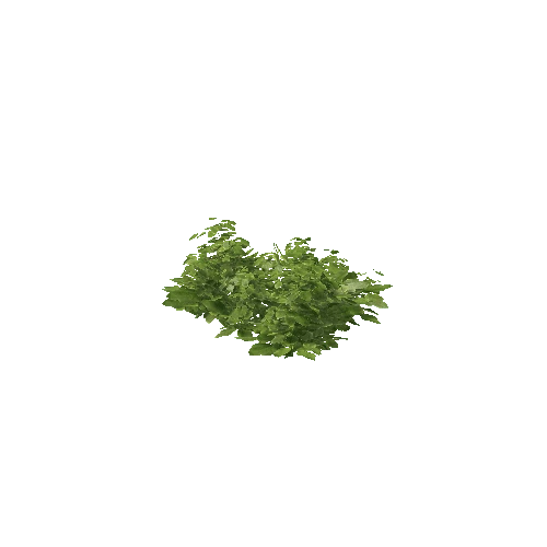 Plant 25_LOD_0